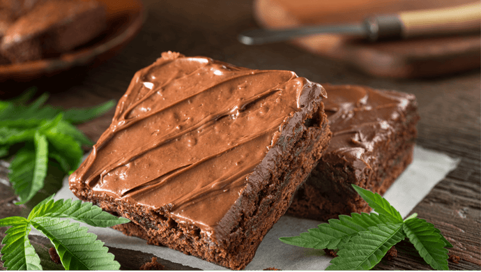 Do Edibles Show Up in Drug Tests?