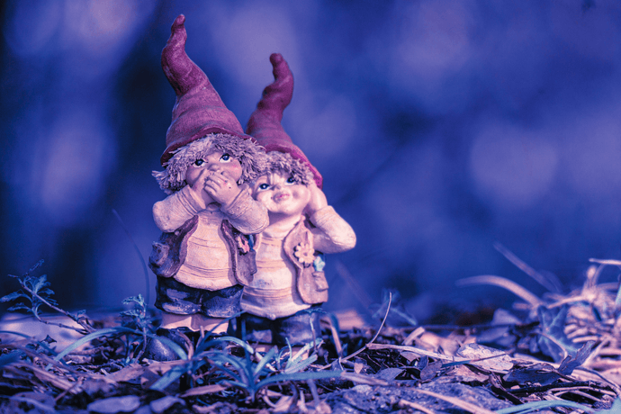 DMT Elves and Other Hallucinations: Plumbing the Depths of Dimethyltryptamine