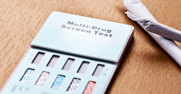 Does Florida Have a Drug Test Law for All Teachers? Here’s the Breakdown