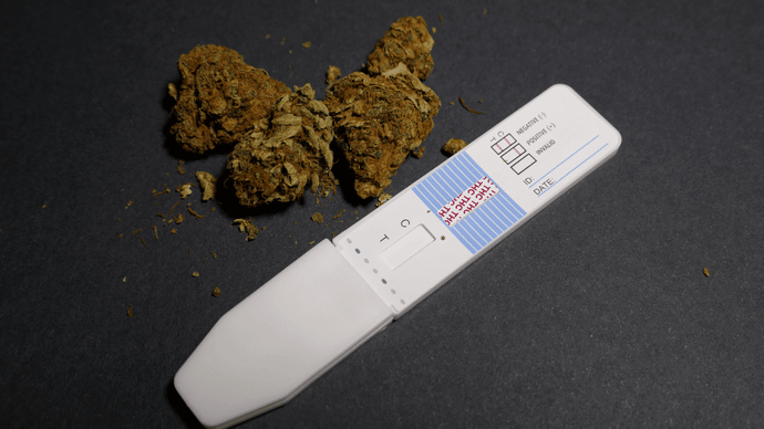 Understanding Drug Tests for Passive Exposure
