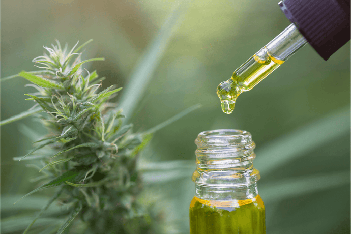 Liquid Marijuana: Everything You Need to Know