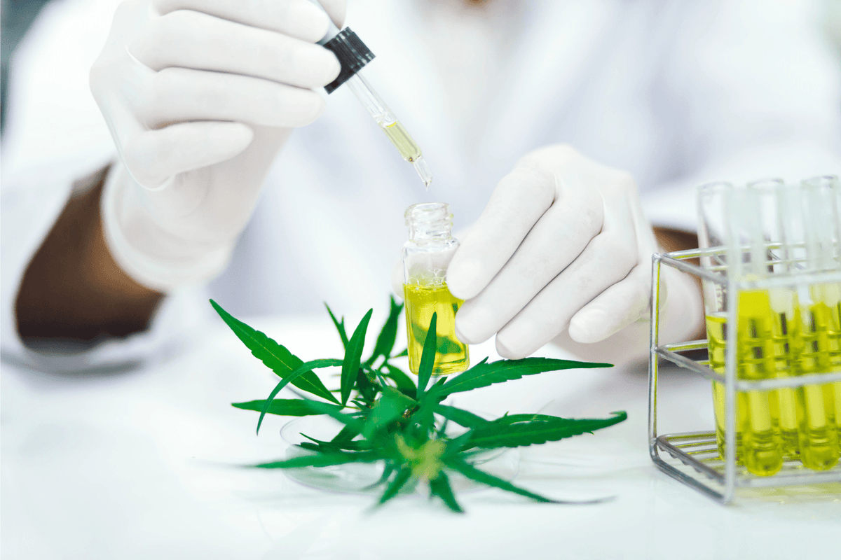 Workplace Drug Testing After Legalization — The Impact on Your Busines